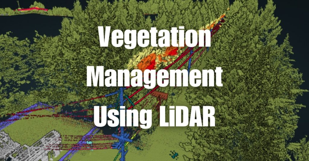 Vegetation Management Using LiDAR