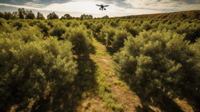 Aerial Precision Agriculture and Small-Scale Farming